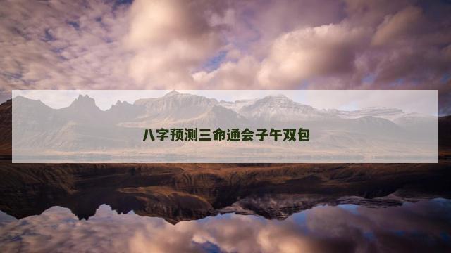 八字预测三命通会子午双包