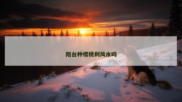 阳台种樱桃利风水吗