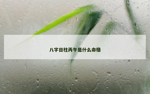 八字日柱丙午是什么命格