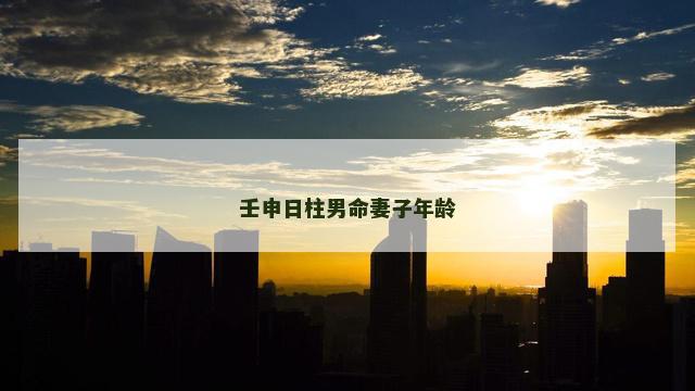 壬申日柱男命妻子年龄