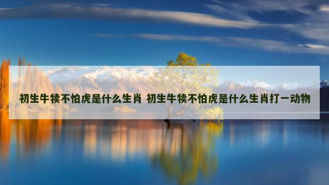 初生牛犊不怕虎是什么生肖 初生牛犊不怕虎是什么生肖打一动物