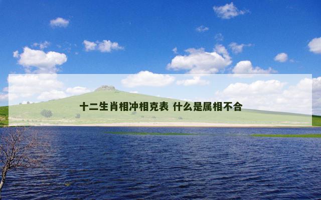 十二生肖相冲相克表 什么是属相不合