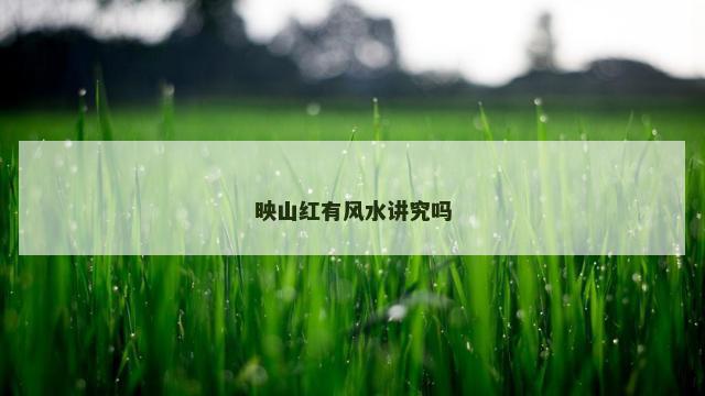 映山红有风水讲究吗