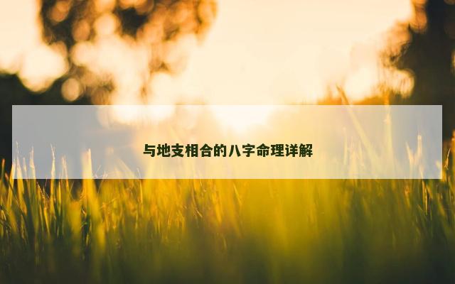 与地支相合的八字命理详解