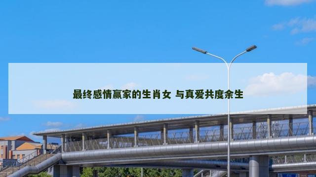最终感情赢家的生肖女 与真爱共度余生