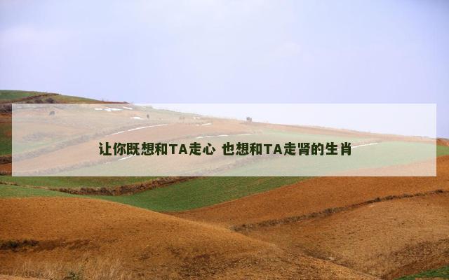 让你既想和TA走心 也想和TA走肾的生肖