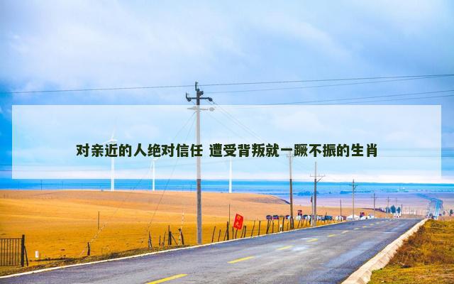 对亲近的人绝对信任 遭受背叛就一蹶不振的生肖