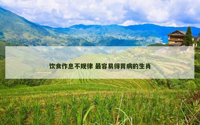 饮食作息不规律 最容易得胃病的生肖
