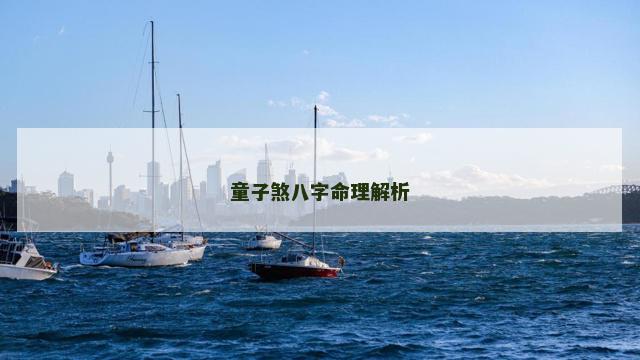 童子煞八字命理解析