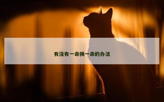 有没有一命换一命的办法