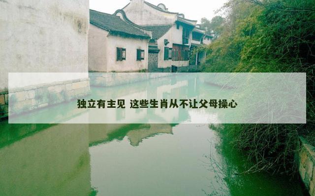 独立有主见 这些生肖从不让父母操心