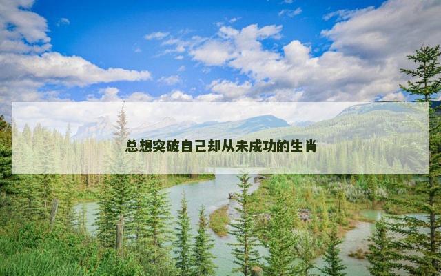 总想突破自己却从未成功的生肖