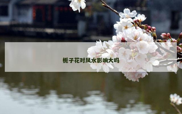 栀子花对风水影响大吗