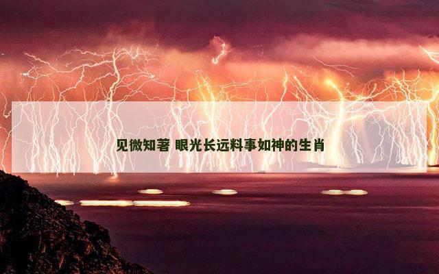见微知著 眼光长远料事如神的生肖