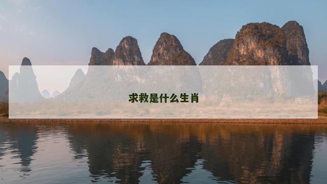 求救是什么生肖