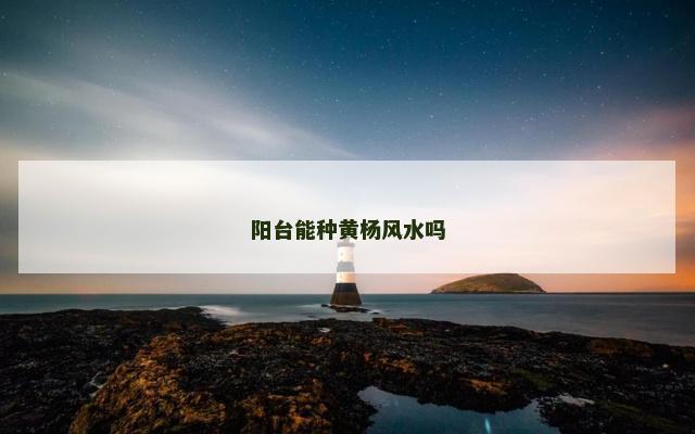 阳台能种黄杨风水吗