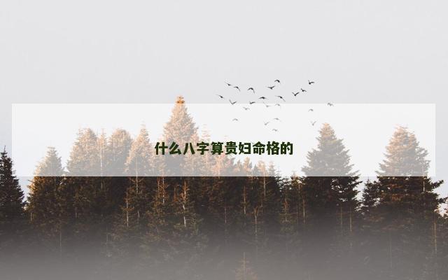 什么八字算贵妇命格的