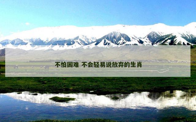 不怕困难 不会轻易说放弃的生肖
