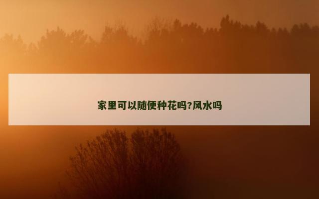 家里可以随便种花吗?风水吗