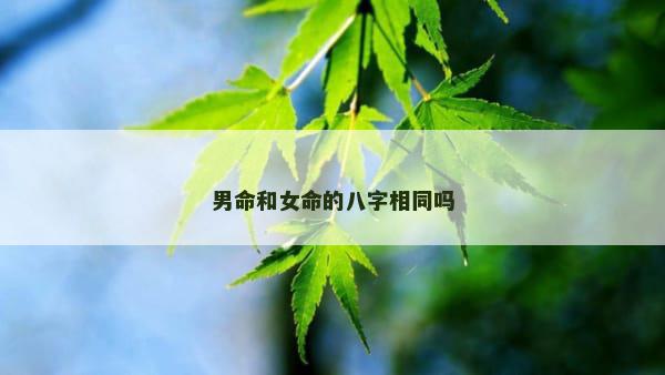 男命和女命的八字相同吗