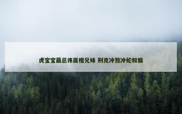 虎宝宝最忌讳属相兄妹 刑克冲煞冲蛇和猴