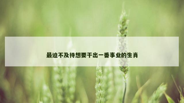 最迫不及待想要干出一番事业的生肖