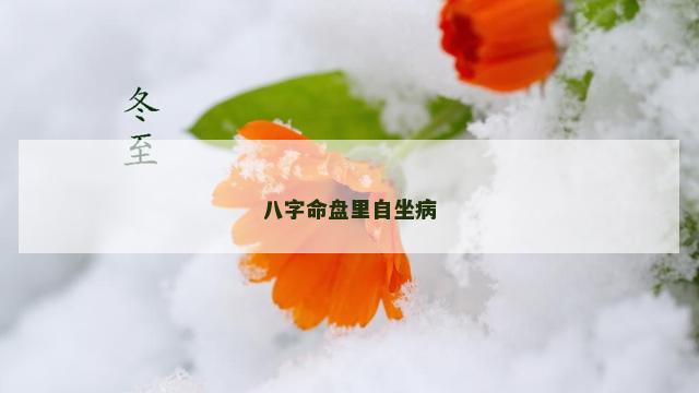 八字命盘里自坐病