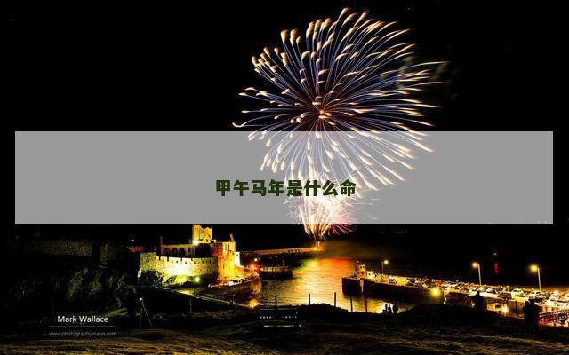 甲午马年是什么命