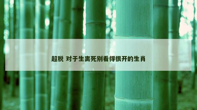 超脱 对于生离死别看得很开的生肖
