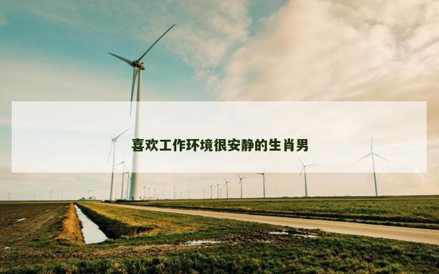 喜欢工作环境很安静的生肖男