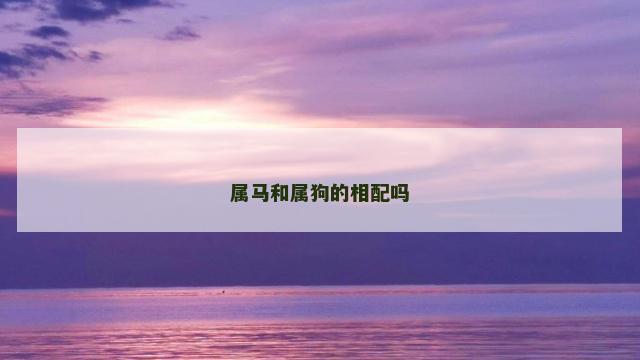 属马和属狗的相配吗