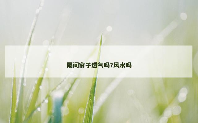 隔间帘子透气吗?风水吗