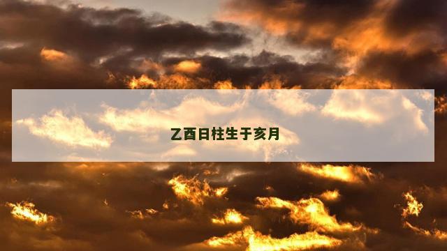 乙酉日柱生于亥月