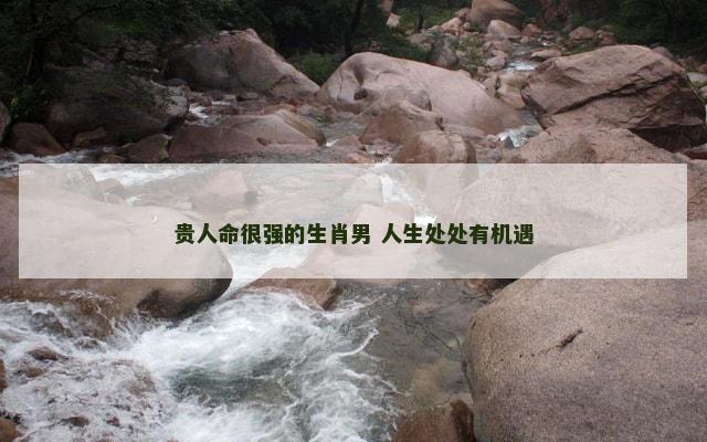 贵人命很强的生肖男 人生处处有机遇