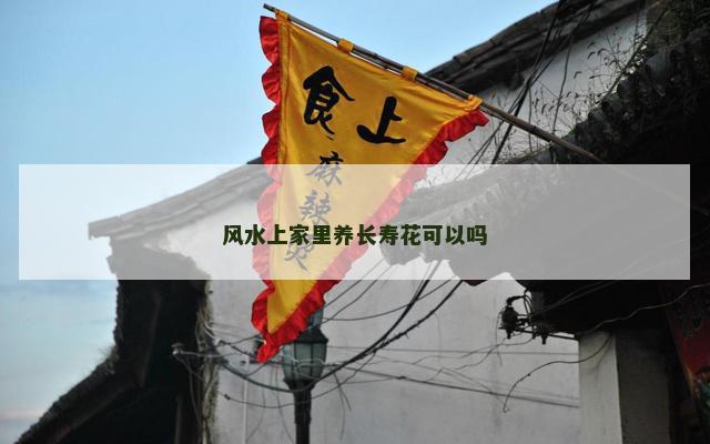 风水上家里养长寿花可以吗
