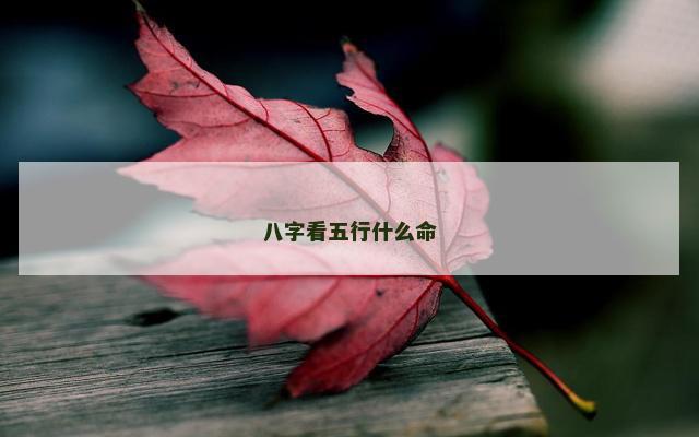 八字看五行什么命