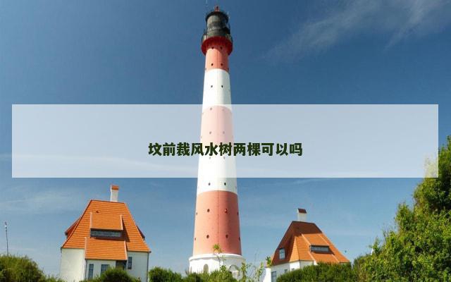 坟前裁风水树两棵可以吗