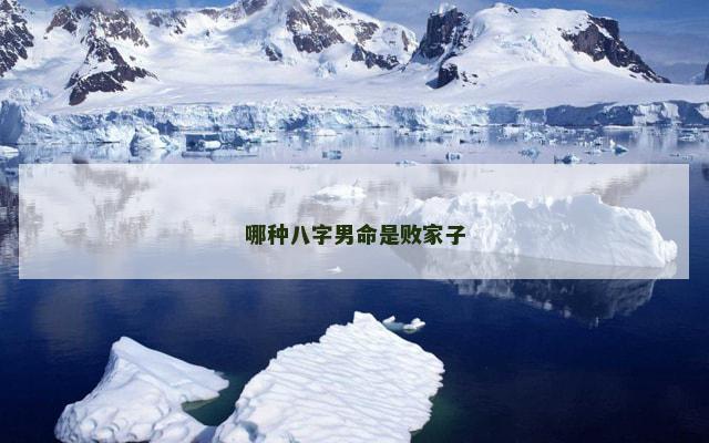 哪种八字男命是败家子