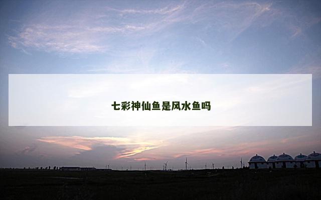 七彩神仙鱼是风水鱼吗