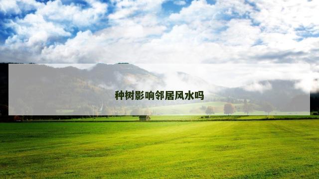 种树影响邻居风水吗