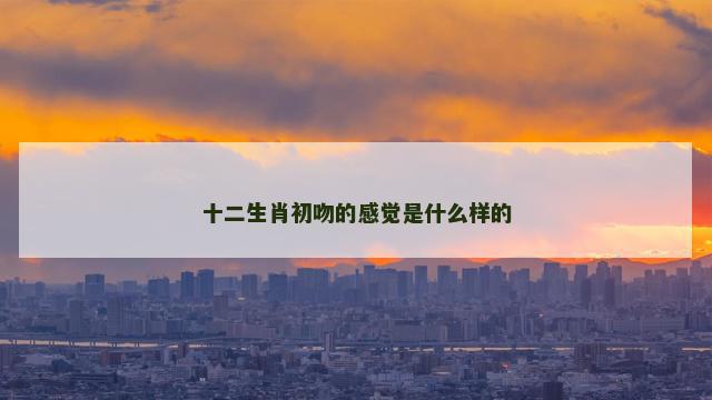 十二生肖初吻的感觉是什么样的