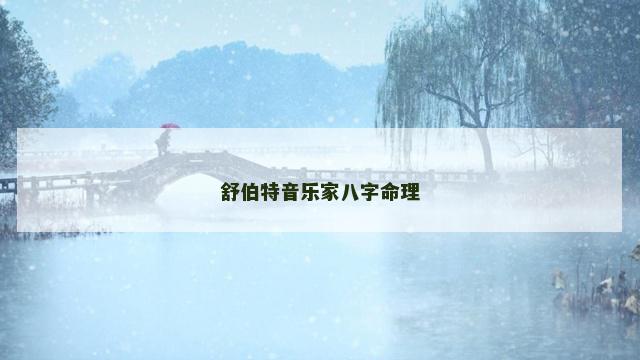 舒伯特音乐家八字命理