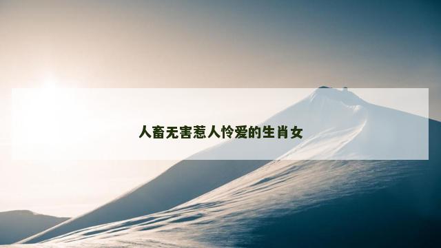 人畜无害惹人怜爱的生肖女