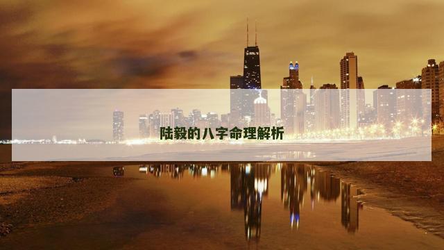 陆毅的八字命理解析
