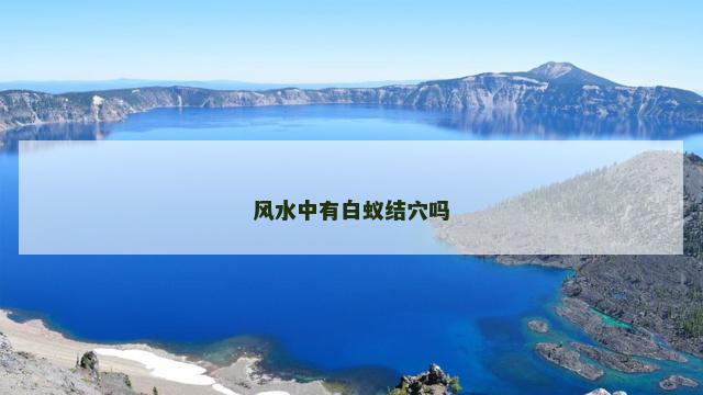 风水中有白蚁结穴吗