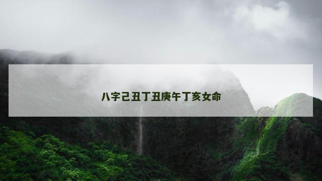 八字己丑丁丑庚午丁亥女命