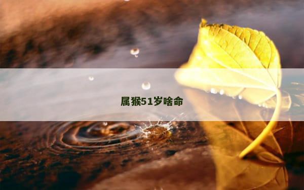 属猴51岁啥命