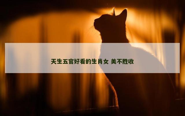 天生五官好看的生肖女 美不胜收