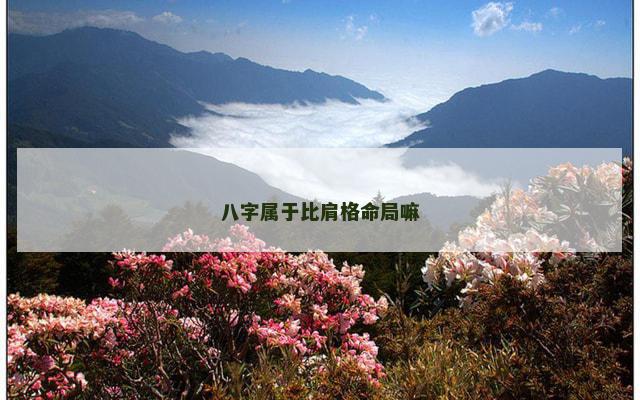 八字属于比肩格命局嘛