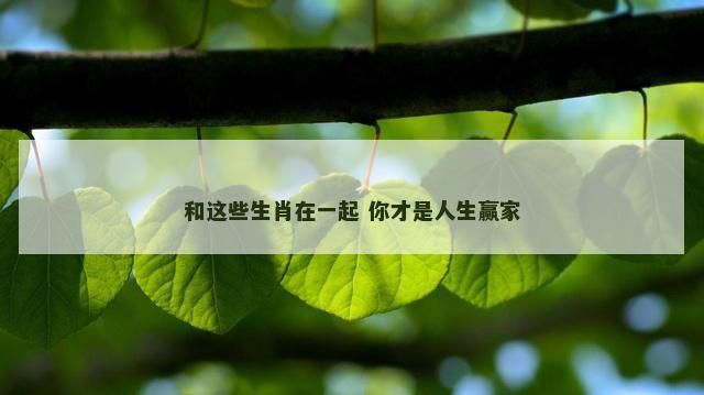 和这些生肖在一起 你才是人生赢家